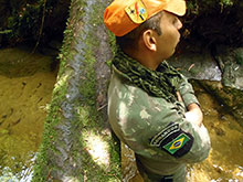 cg10_227.jpg