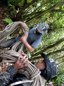 cg10_236.jpg