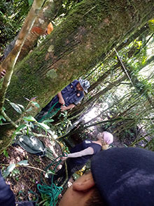 cg10_238.jpg