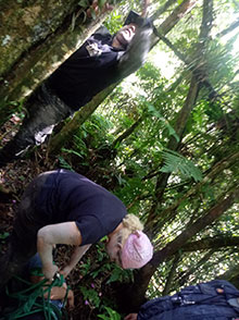 cg10_239.jpg