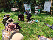 cg12_046.jpg