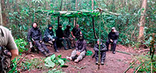 cg12_156.jpg