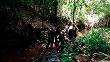 cg12_172.jpg
