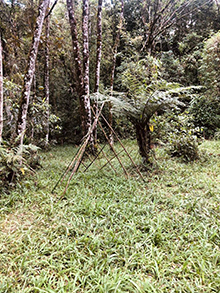 cg14_002.jpg