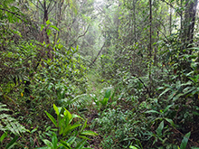 cg14_038.jpg