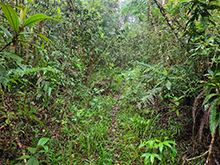 cg14_039.jpg
