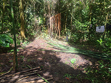 cg14_040.jpg