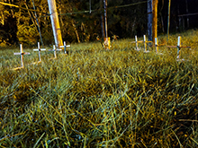 cg14_060.jpg