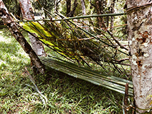 cg14_067.jpg