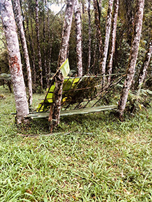 cg14_081.jpg
