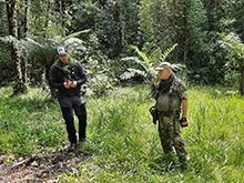 cg14_085.jpg