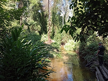 cg14_096.jpg