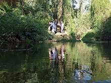 cg14_113.jpg