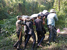 cg14_127.jpg