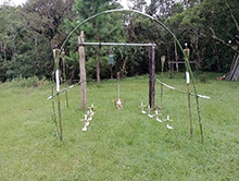 cg14_131.jpg
