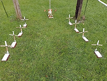 cg14_132.jpg
