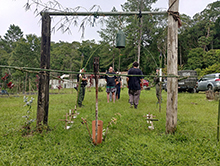 cg14_149.jpg