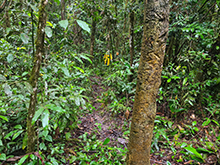 cg16_043.jpg