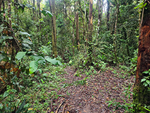 cg16_076.jpg