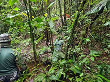 cg16_116.jpg