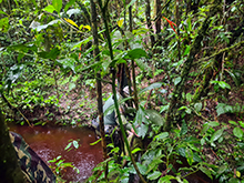 cg16_117.jpg