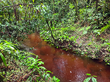 cg16_119.jpg