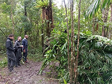 cg16_165.jpg