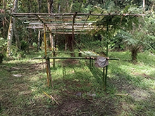 cg16_171.jpg