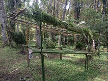 cg16_172.jpg