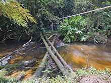 cg18_010.jpg