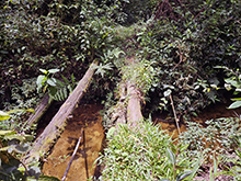 cg18_024.jpg