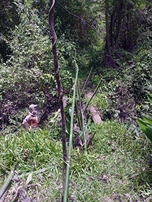 cg18_097.jpg