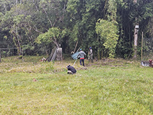 cg19_036.jpg
