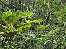 cg19_107.jpg