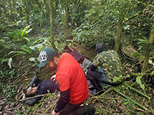 cg19_119.jpg