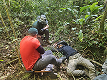 cg19_121.jpg