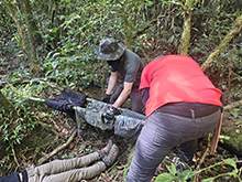 cg19_127.jpg