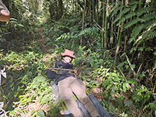 cg19_145.jpg