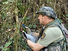 cg19_177.jpg