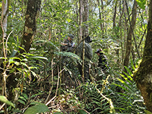 cg19_199.jpg