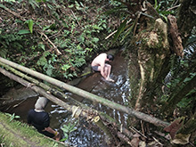 cg19_214.jpg