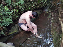 cg19_215.jpg