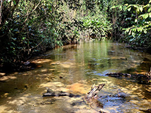 cg19_220.jpg