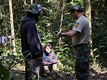 cg19_233.jpg