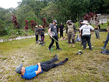 cg9_019.jpg
