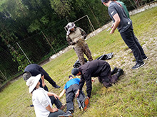 cg9_027.jpg