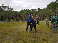 cg9_044.jpg