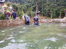 cg9_078.jpg