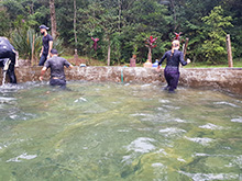 cg9_079.jpg