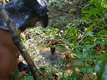 cg9_112.jpg
